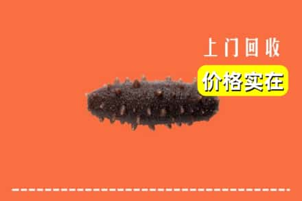 商洛商州区回收海参